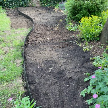 T's garden