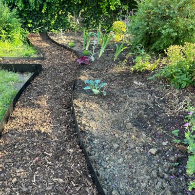 T's garden
