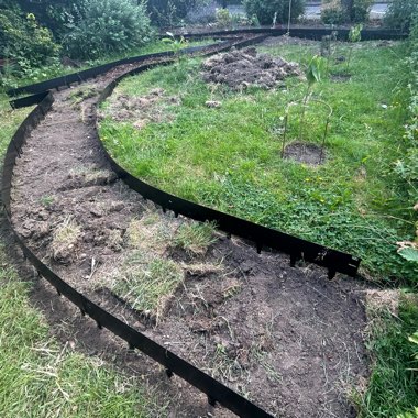 T's garden