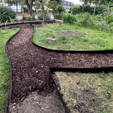 T's garden