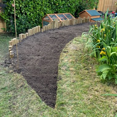 Samuel's garden
