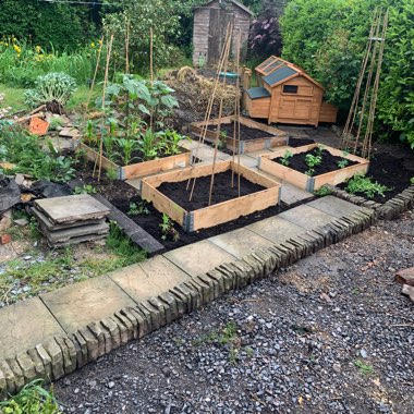Samuel's garden