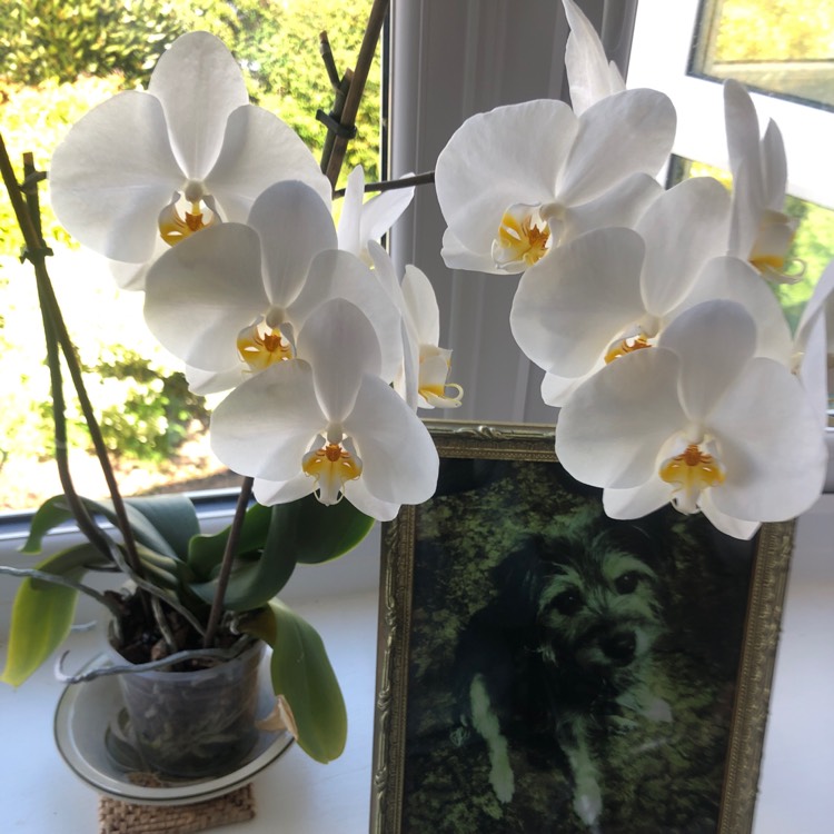 plant image 1474602