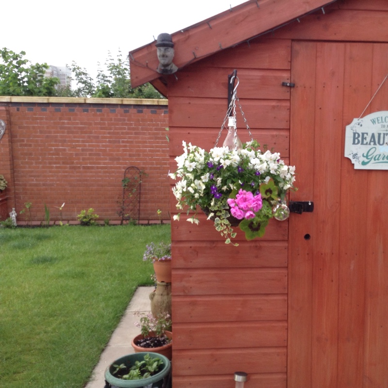 Jean's garden