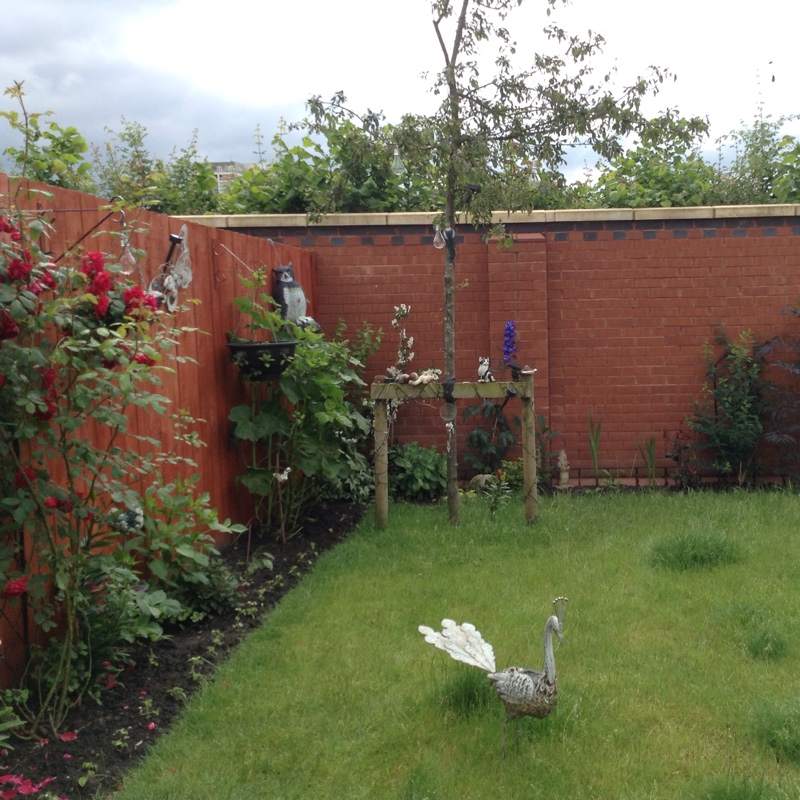 Jean's garden