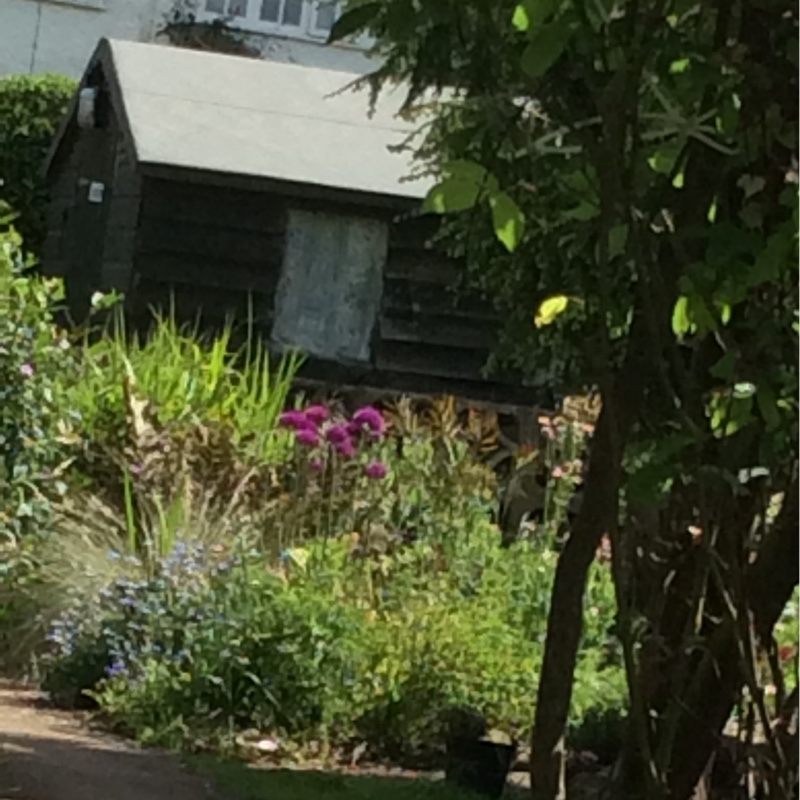 Jenny's garden