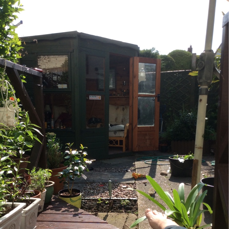 Jenny's garden