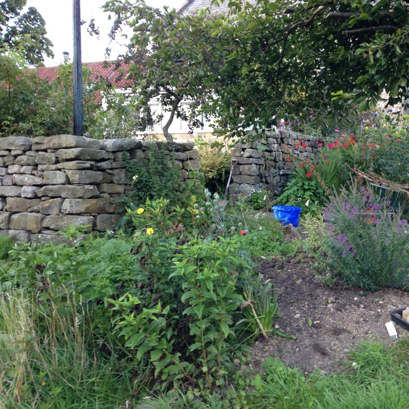 Jennifer's garden