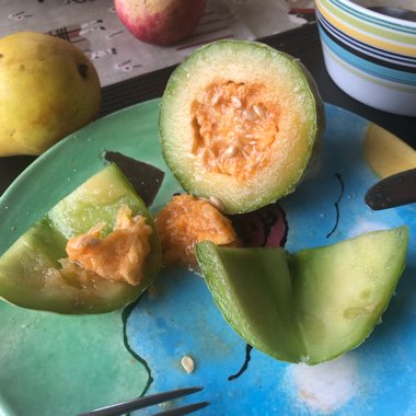 Cucumis melo 'Emir'