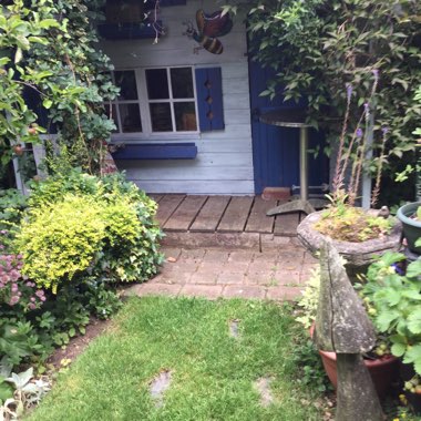 Jennifer's garden