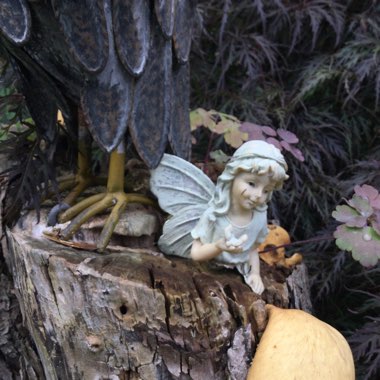 Jennifer's garden