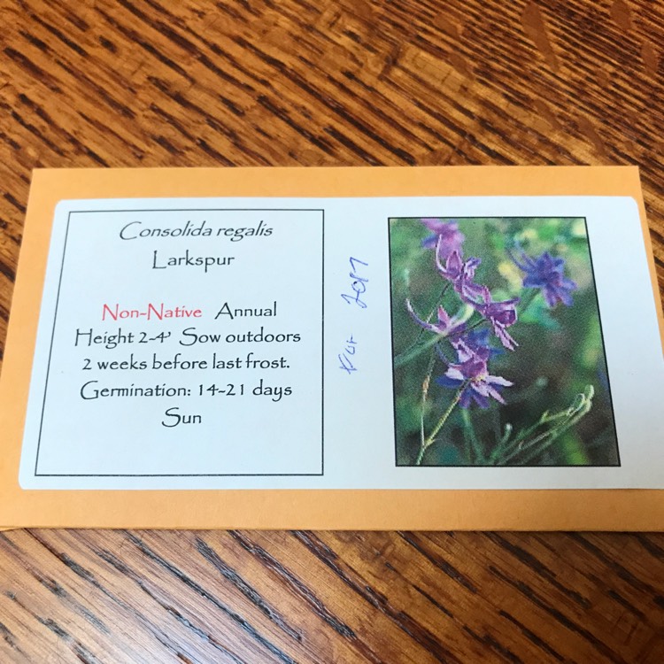 plant image 486826
