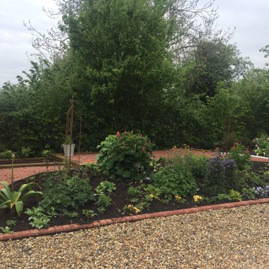 Jenni's garden