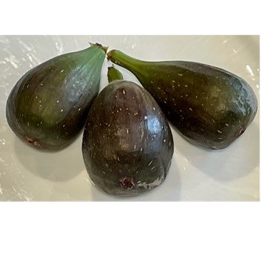 Ficus carica 'Brown Turkey'