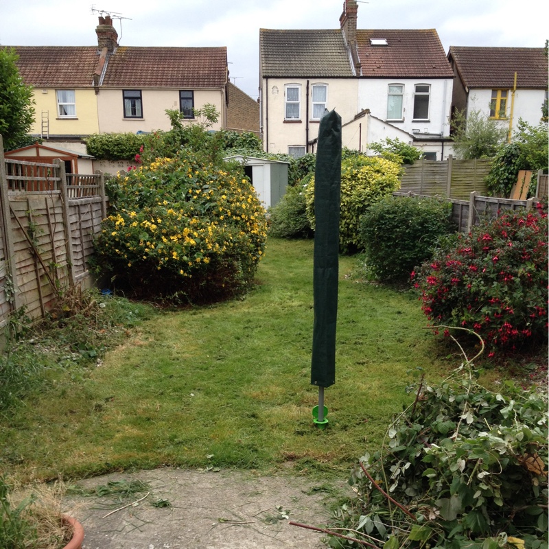 James's garden