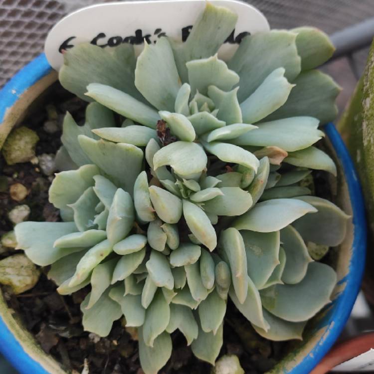 plant image 1578805
