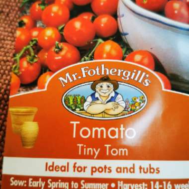Tomato 'The Amateur'