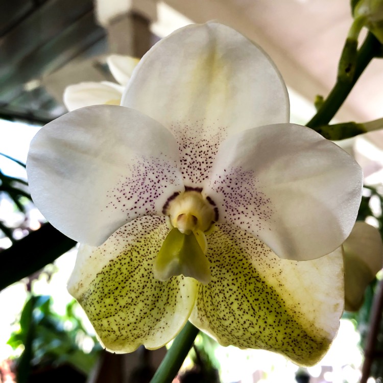 plant image 860340