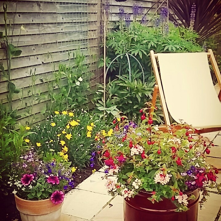 Joanna's garden