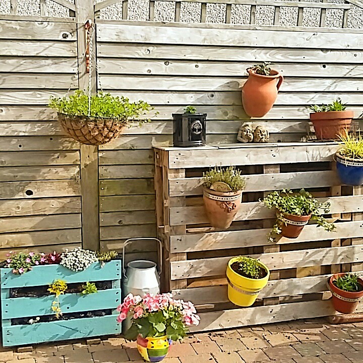 Joanna's garden