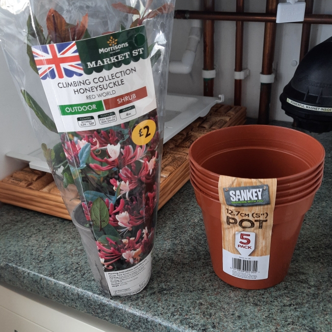 Plant image Lonicera japonica 'Red World'