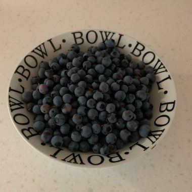 Blueberry
