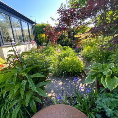 Karen's garden