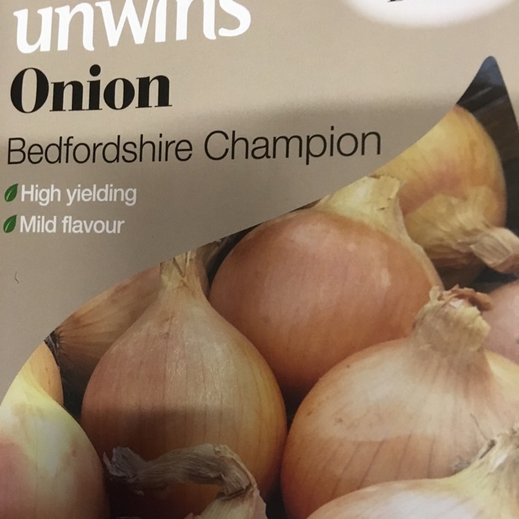 Plant image Allium cepa (Cepa Group) 'Bedfordshire Champion'
