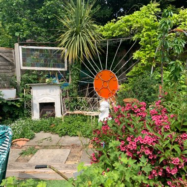 Jo's garden