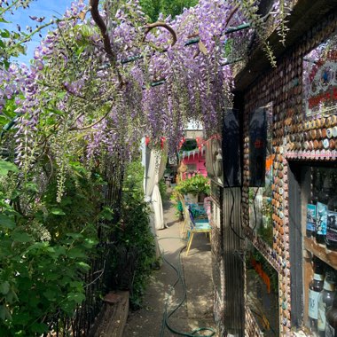 Jo's garden