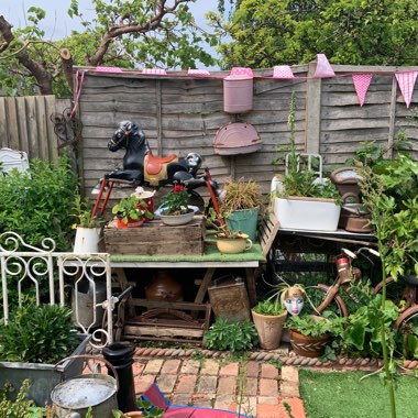 Jo's garden