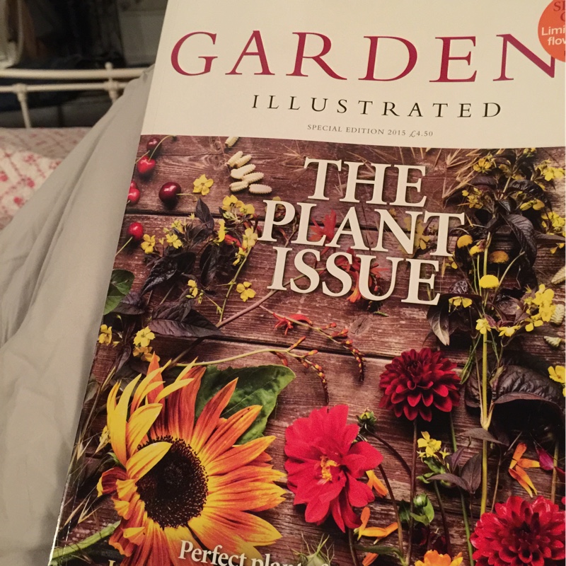 Jo's garden