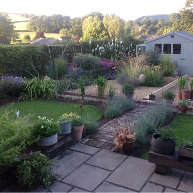 Joyce's garden