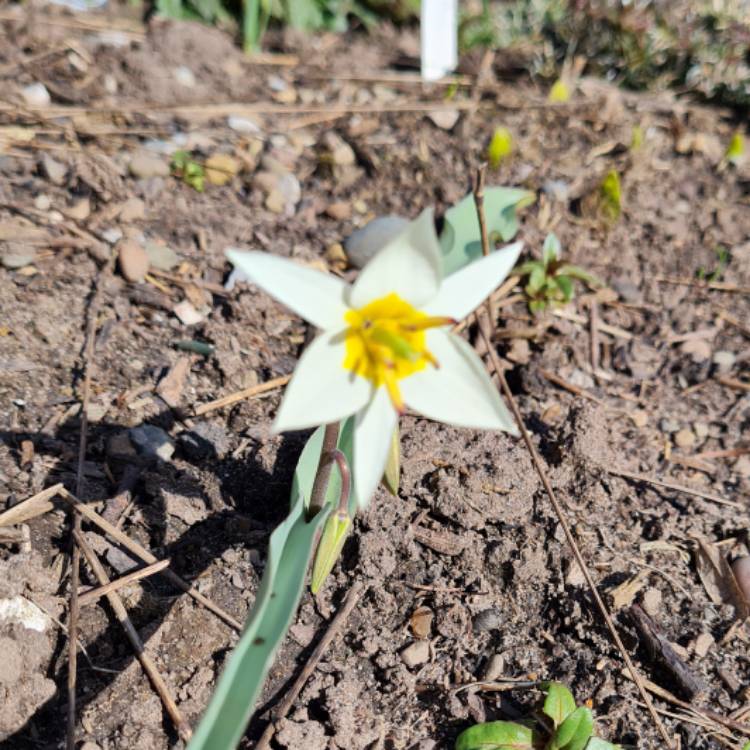 plant image 1567976