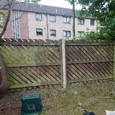 John's garden