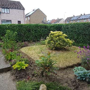 John's garden