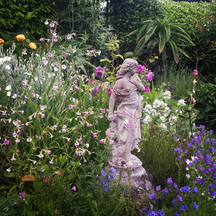 Jonathan's garden