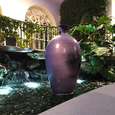 Juan's garden