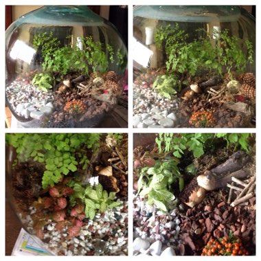 Julie's garden