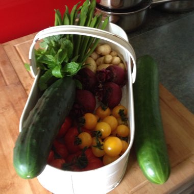 Julie's garden
