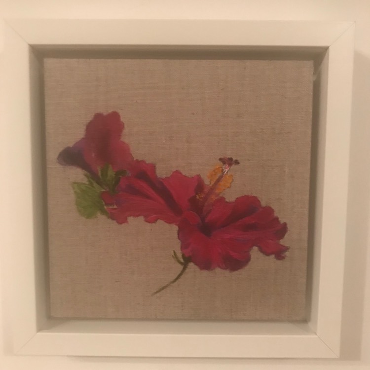 plant image 1010707