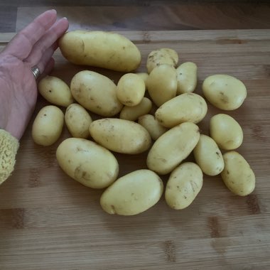 Justine's garden