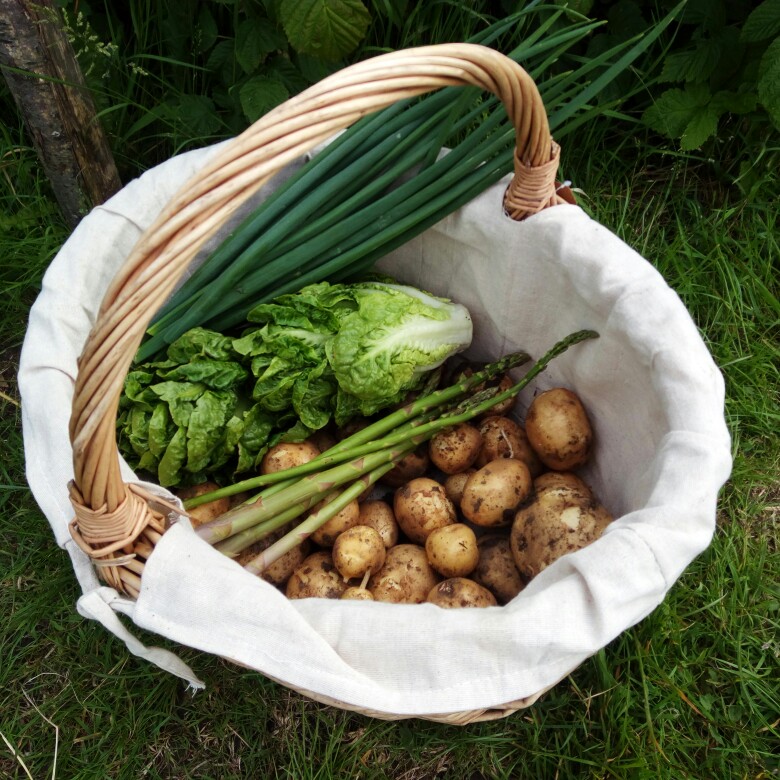Hannah's garden