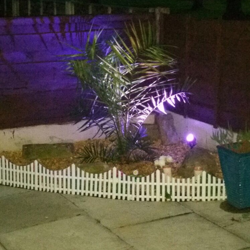 Karen's garden