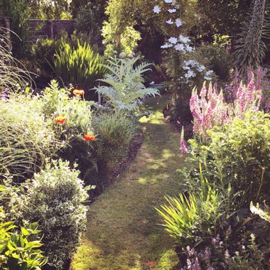 The Mount Pleasant Inn's garden