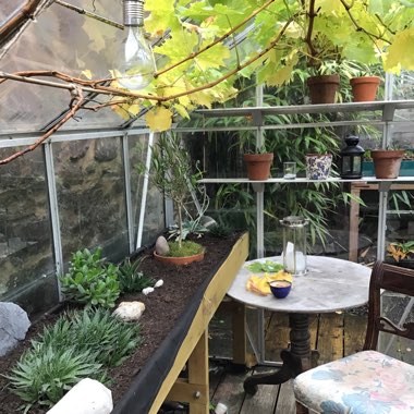 The Mount Pleasant Inn's garden
