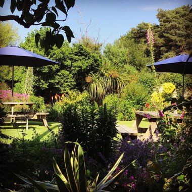The Mount Pleasant Inn's garden