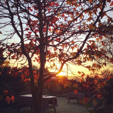 The Mount Pleasant Inn's garden