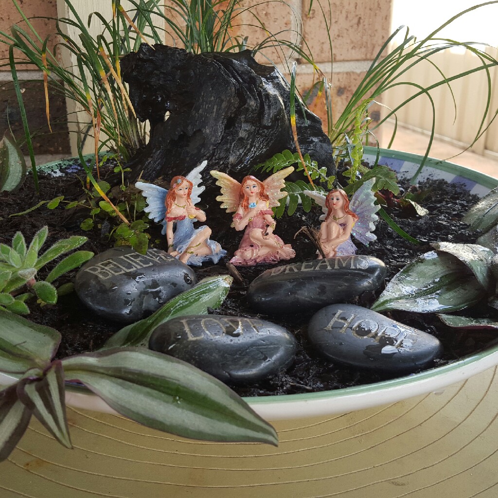 Karen's garden