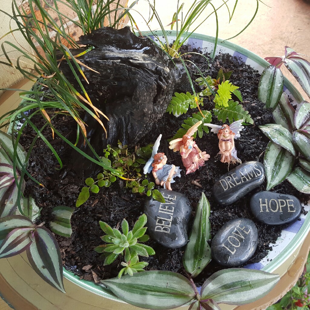 Karen's garden